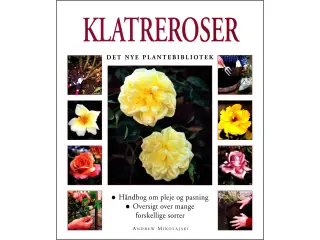 Klatreroser