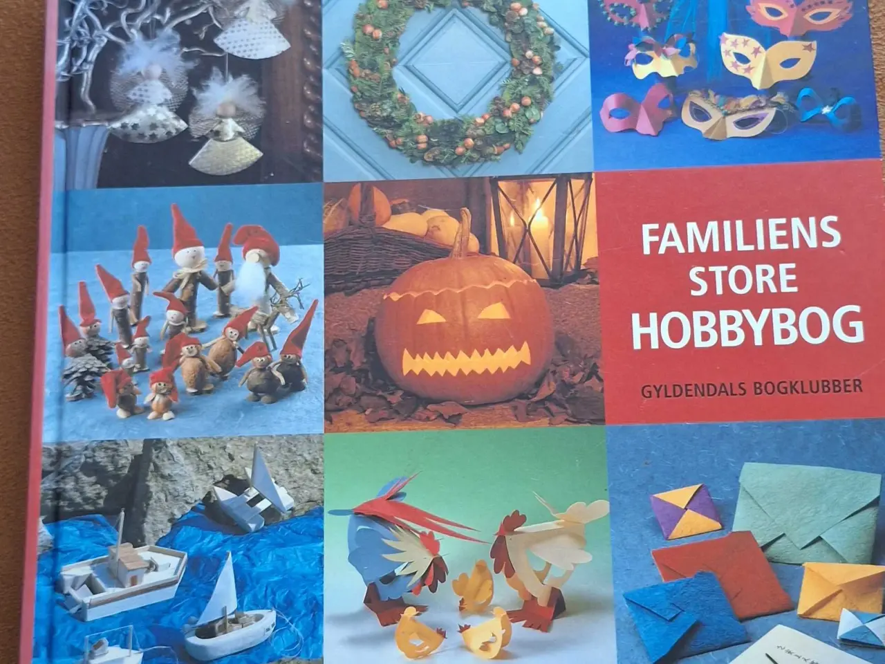 Billede 1 - Familiens store hobbybog 