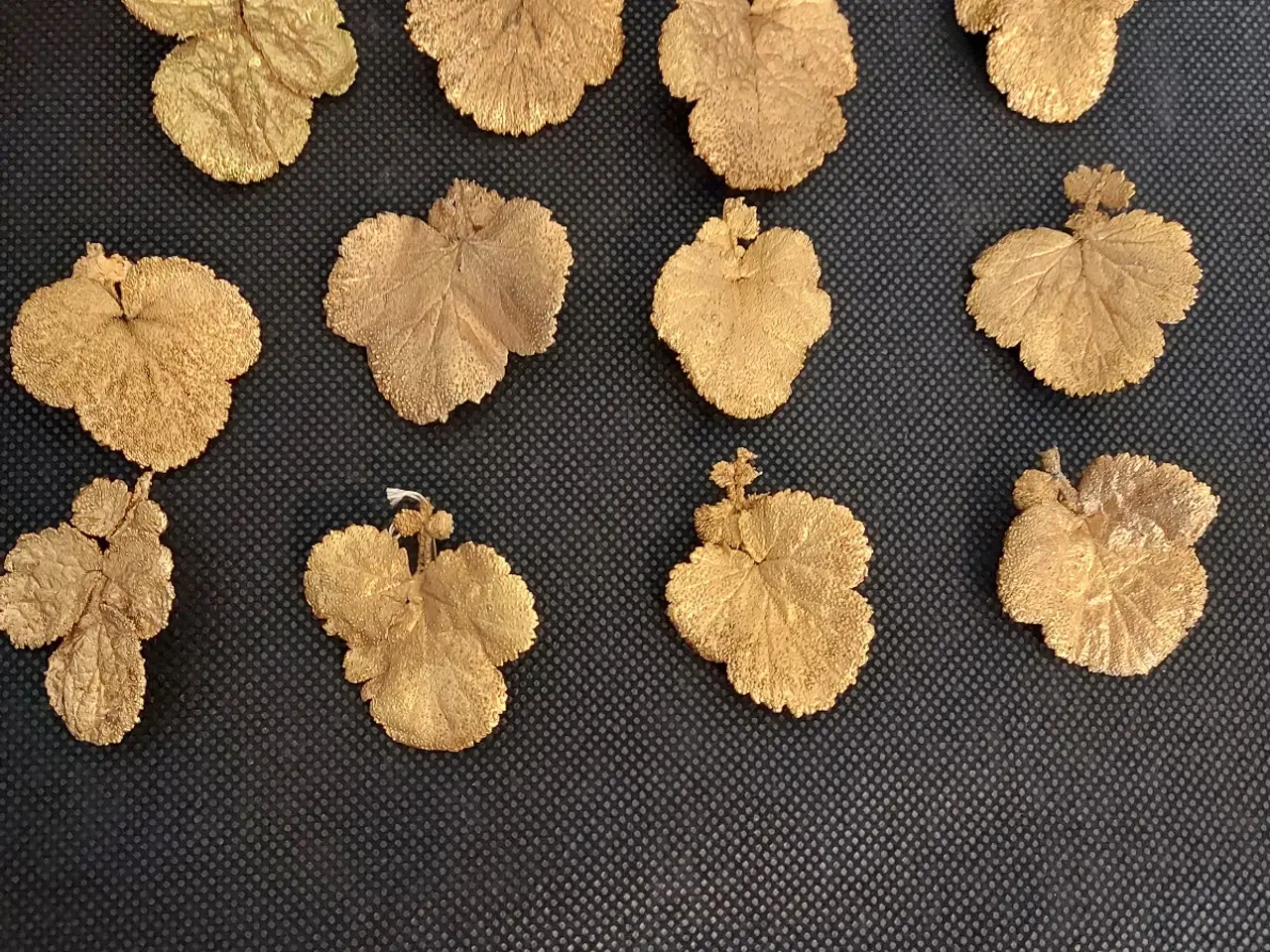 Billede 6 - Broche og clips, Flora Danica lignende