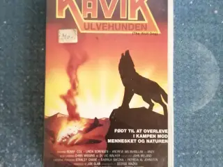 Kavik Ulvehunden