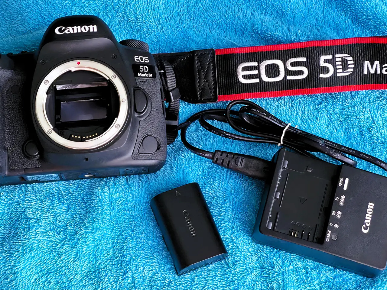 Billede 1 - Canon EOS 5D Mark IV 