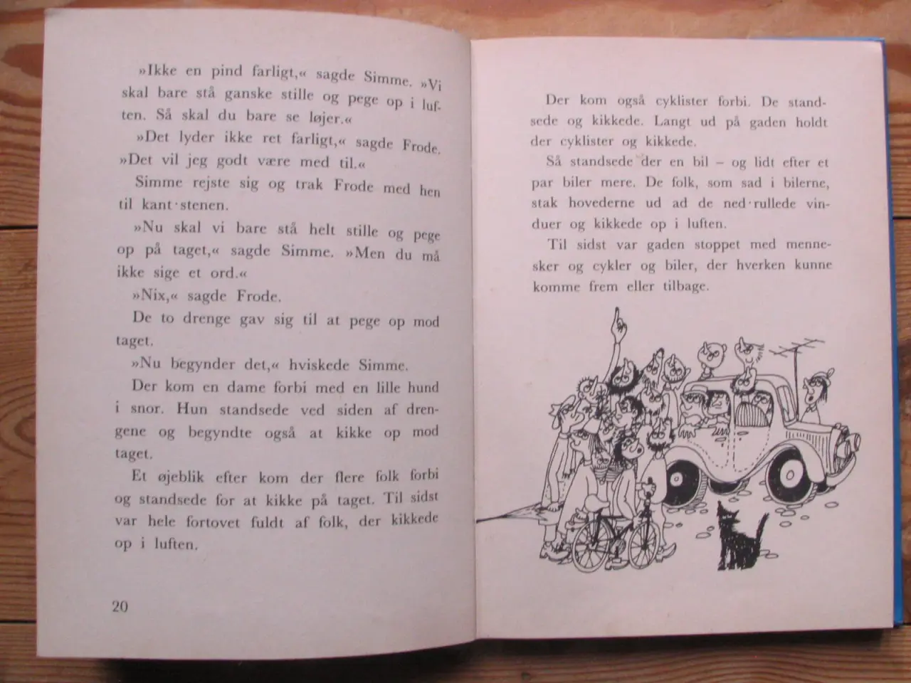 Billede 3 - Frode - og alle de andre rødder