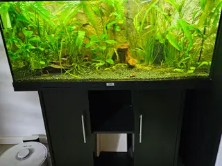 Juwel Akvarie + fisk