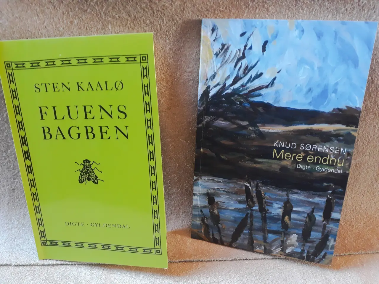 Billede 1 - Fluens Bagben & Mere Endnu - Digte