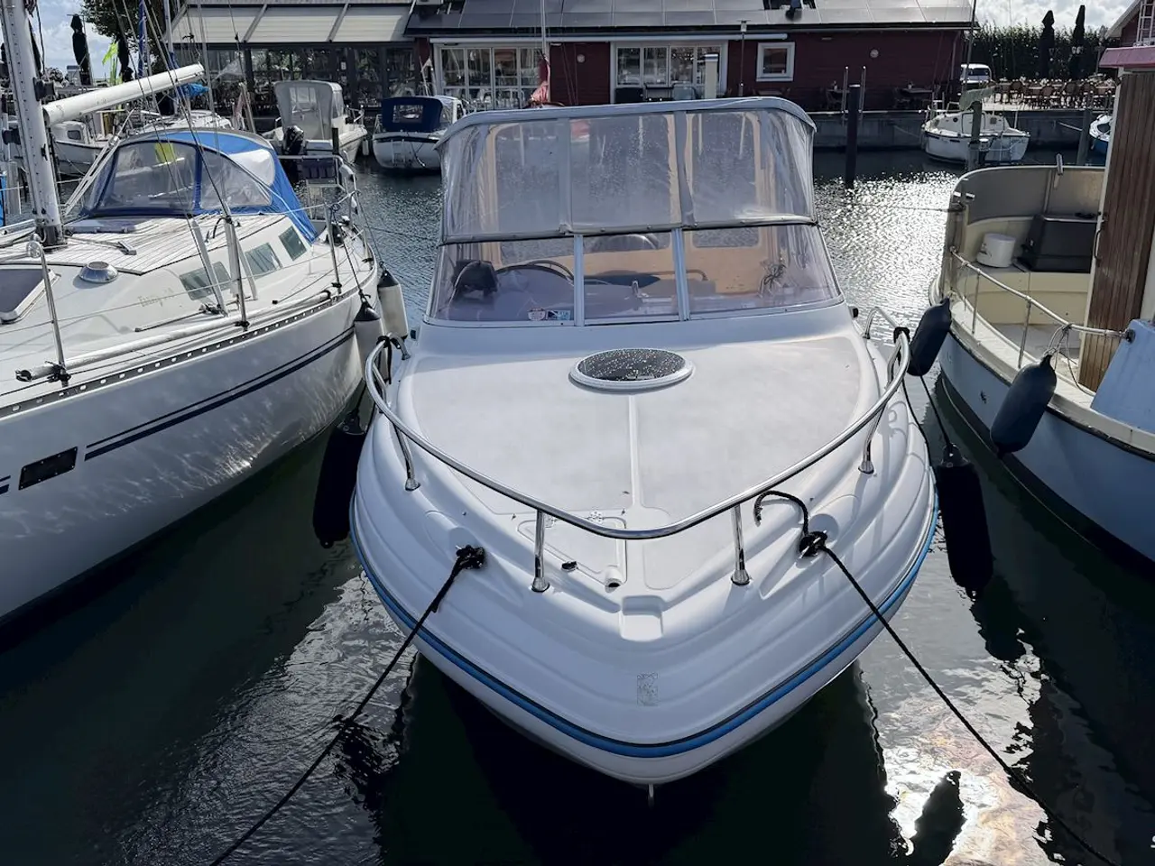 Billede 3 - Ranieri Sea Lady Edition