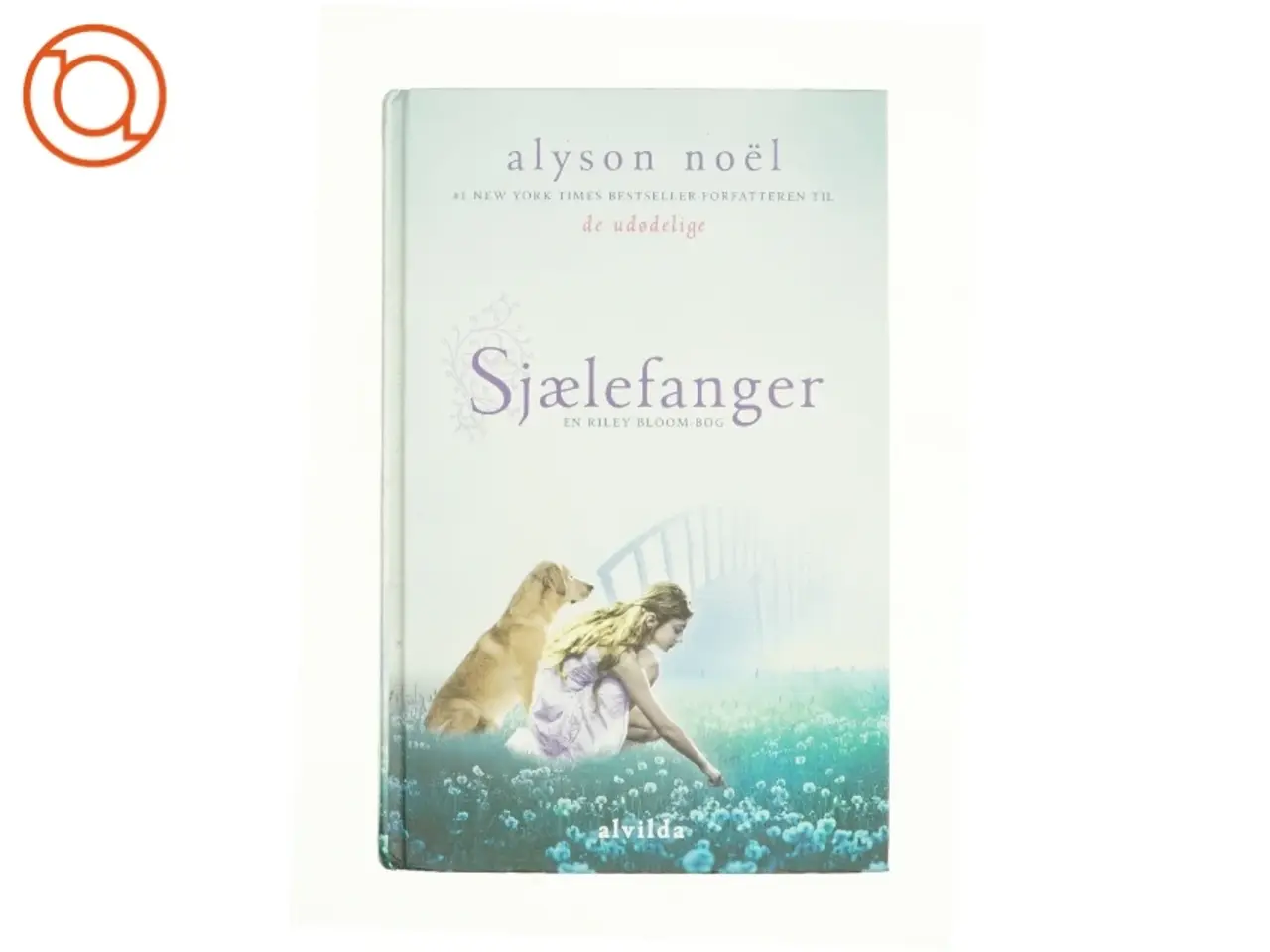 Billede 1 - Sjælefanger af Alyson Noël (bog)