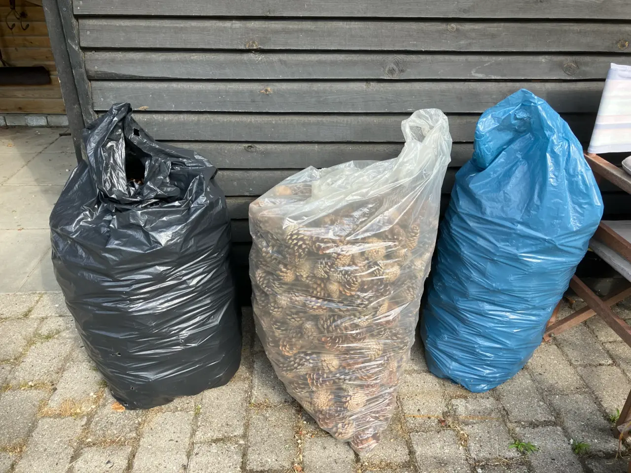 Billede 1 - Grankogler store 3 sække