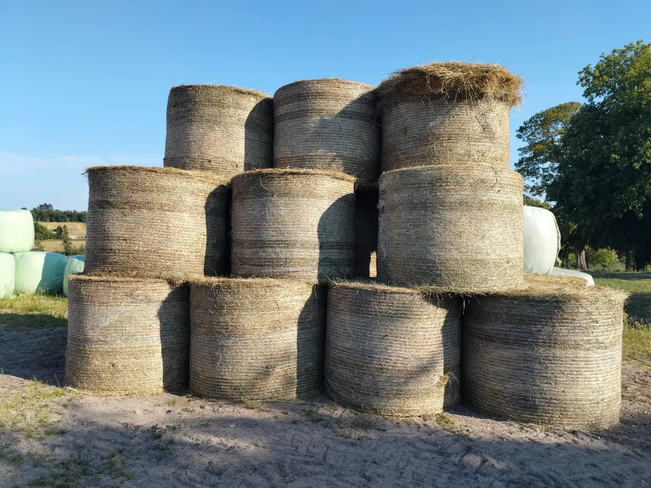 Billede 1 - Hø rundballer