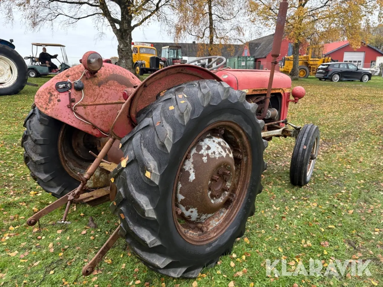 Billede 5 - Veterantraktor Massey Ferguson 35