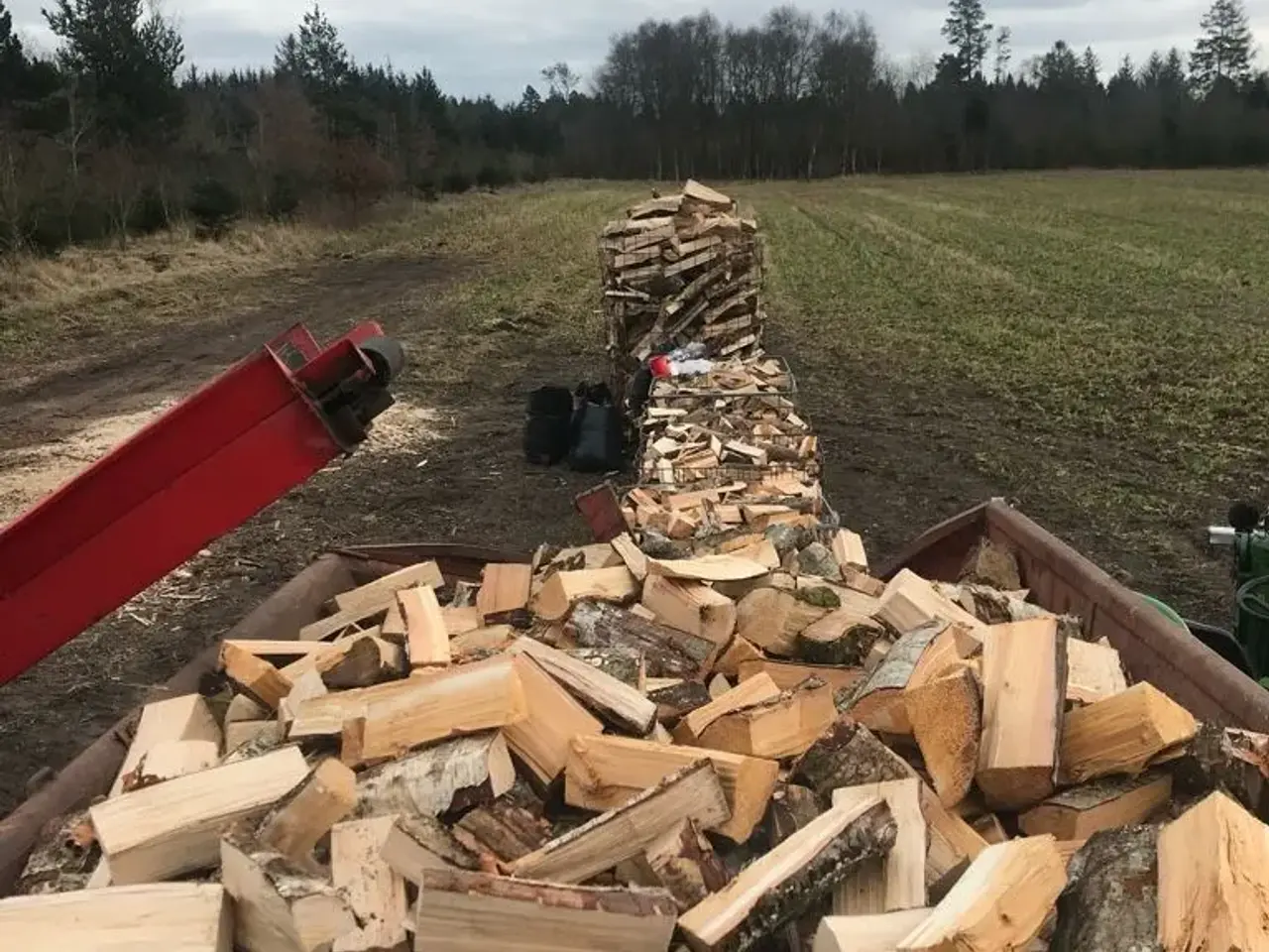 Billede 4 - Bøg  Ask  Birk  Gran