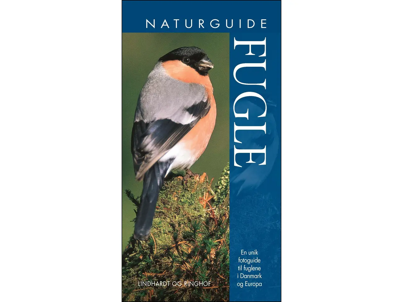 Billede 15 - Fugle - 16 Bøger fra 40 kr.