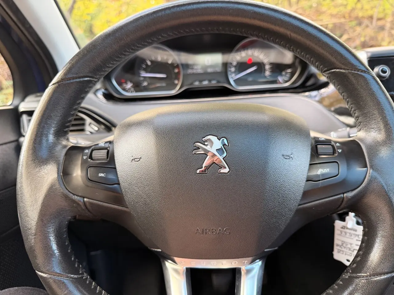 Billede 18 - Peugeot 208 1,6 BlueHDi 100 Desire Sky