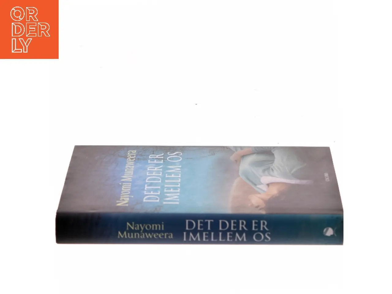 Billede 2 - Det der er imellem os af Nayomi Munaweera (Bog)