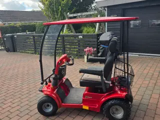 Stor 2 personers elscooter