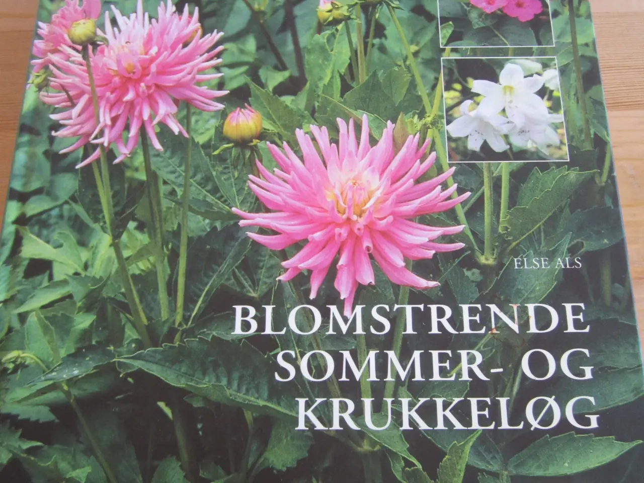 Billede 1 - BYD. BLOMSTRENDE SOMMER OG KRUKKELØG.
