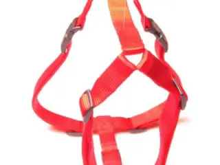 Hundesele, Til store hunde