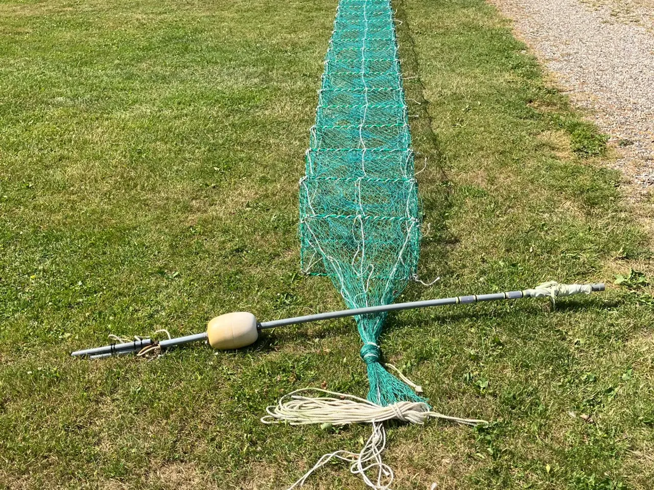Billede 1 - Hummertejne🦞