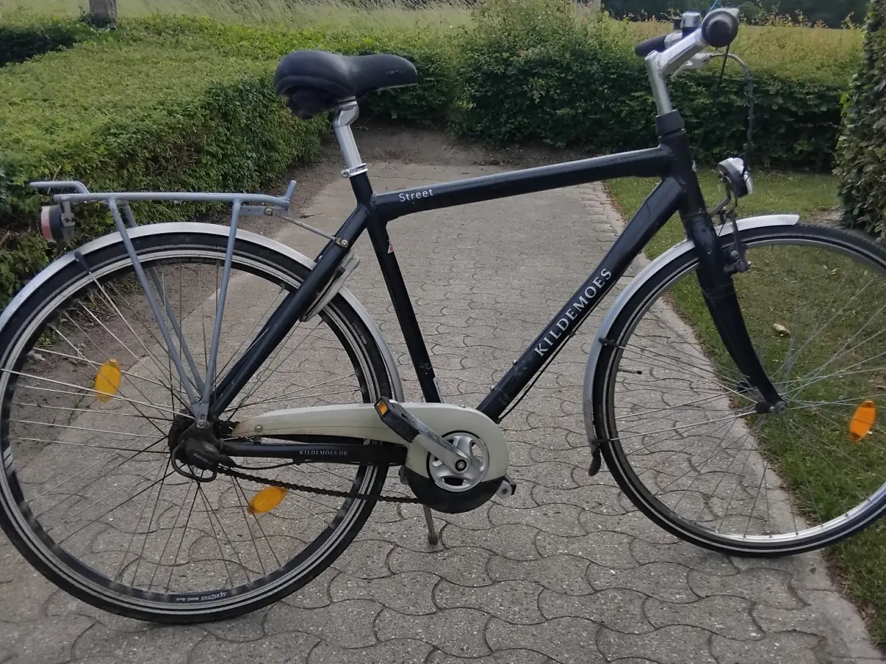 Billede 1 - Kildemoes