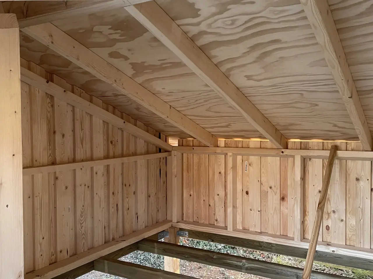Billede 6 - Shelter