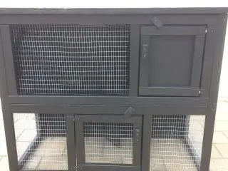 Kaninbur