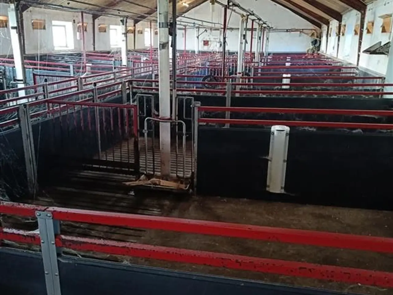 Billede 3 - - - - Inventar/stier plast/rustfri 27 stk.