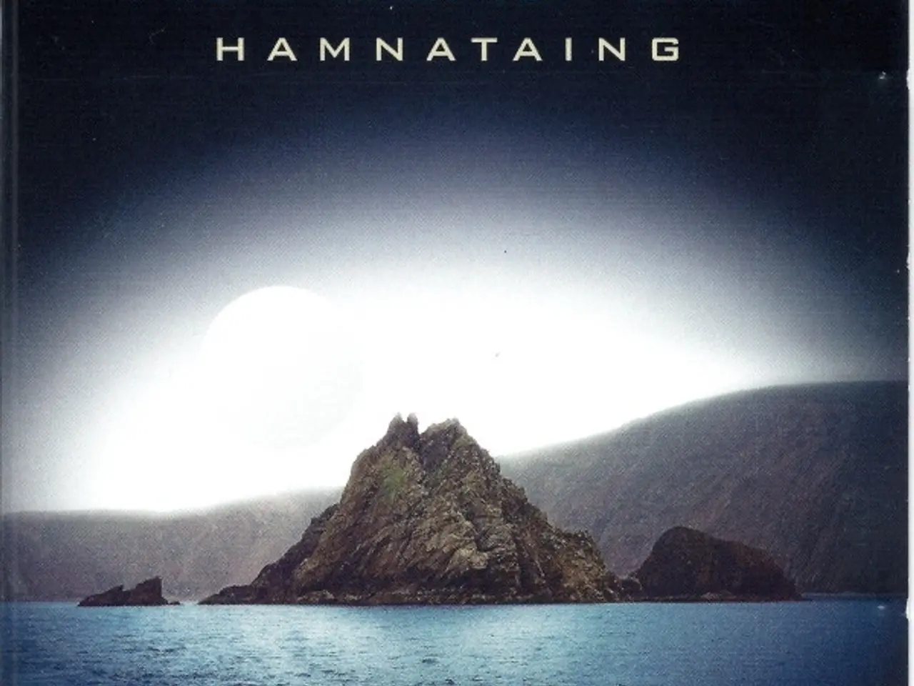 Billede 1 - Fiddler's Bid – Hamnataing – CD