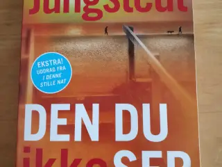 Den du ikke ser, Mari Jungstedt