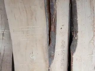Bøgetræ brædder 