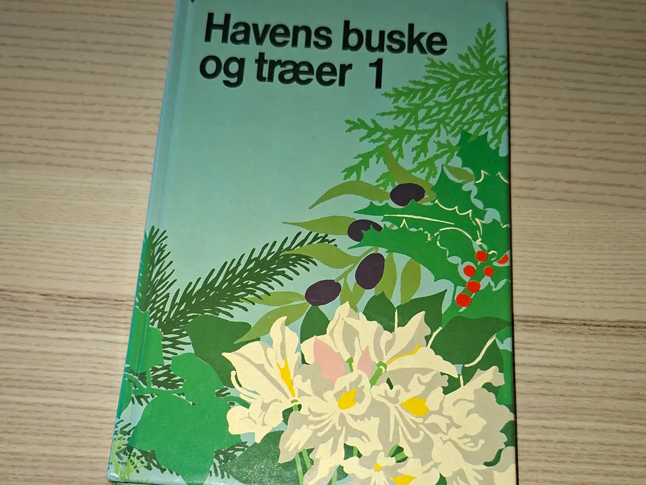Billede 14 - Ellen, 100 år med lyst til livet