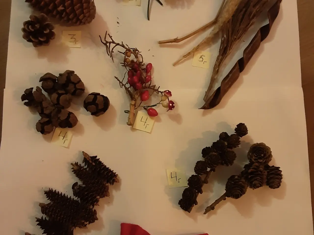 Billede 1 - Natur juledekoration pynt. Samlede pris. 28.00kr.