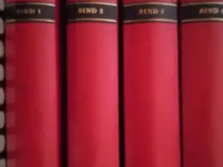 Grimbergs Verdenshistorie 1-62