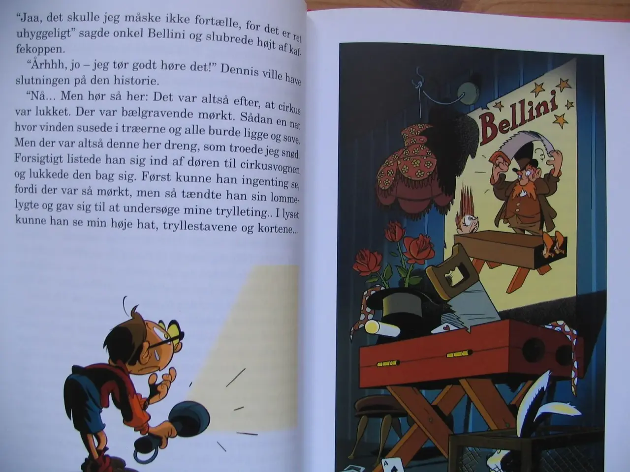 Billede 3 - Spion i Bellinis kælder