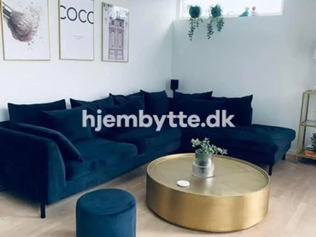 Billede 3 - Hjembytte - Køjevænget