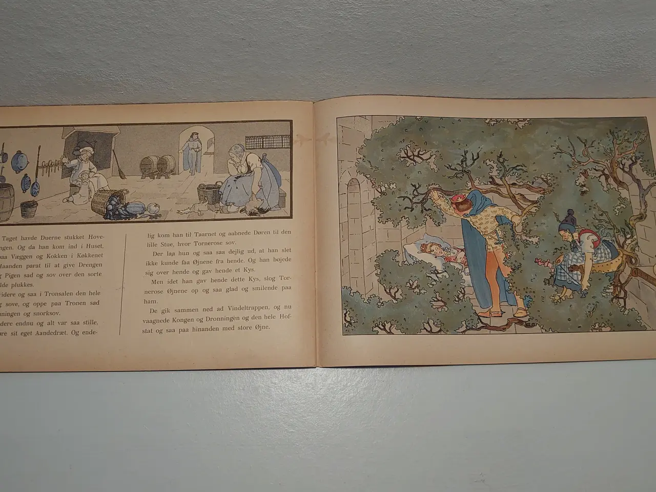 Billede 6 - Brdr. Grimm: Tornerose.ill. Agnes Helms. År1918.