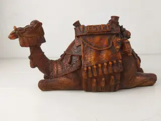 Sjov og dekrotiv Kamel fra Egypt