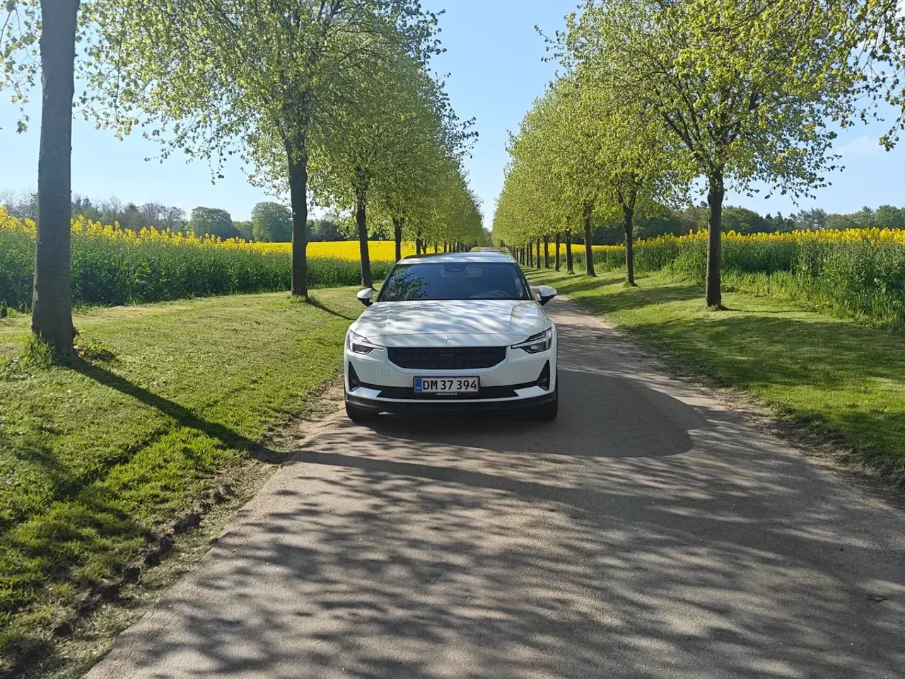 Billede 4 - Polestar 2 Long Range
