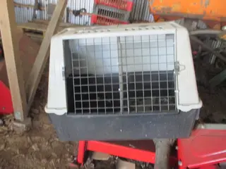Transport bur