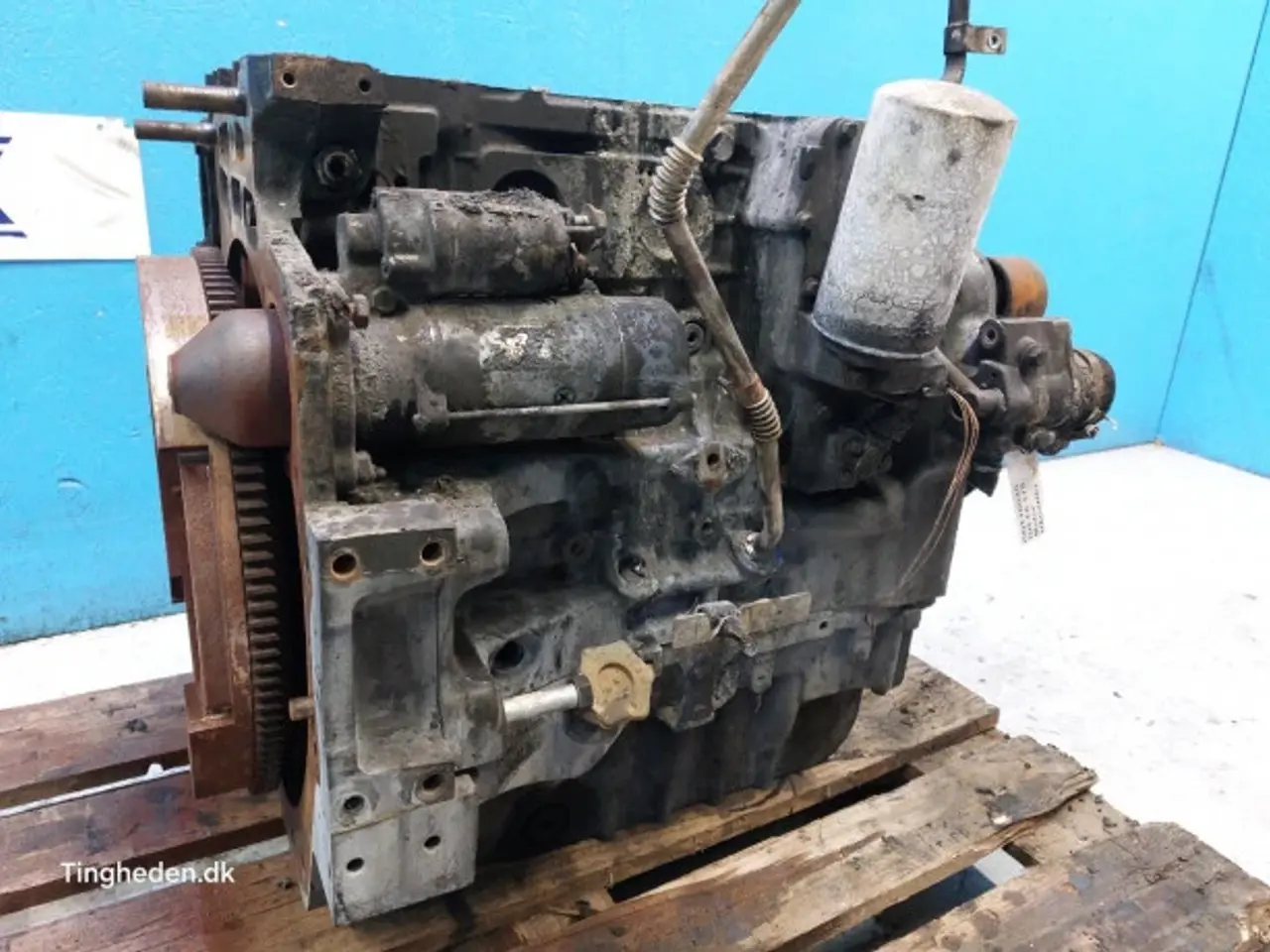 Billede 19 - Iveco F4DFE414Z Motor 47915241