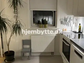 Hjembytte - NordreFasanvej