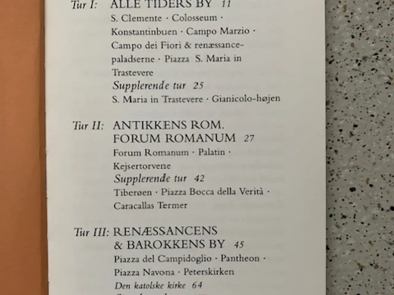 Billede 2 - Studietur Rom, Ole Laursen Vig og Henrik Fich