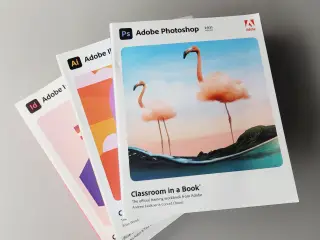 ⭐️· Adobe Classroom Photoshop Illustrator InDesign