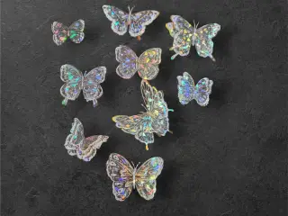 Annonce 611 - Hobby