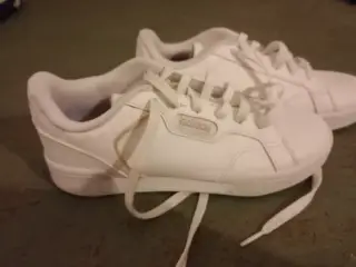 Adidas sko