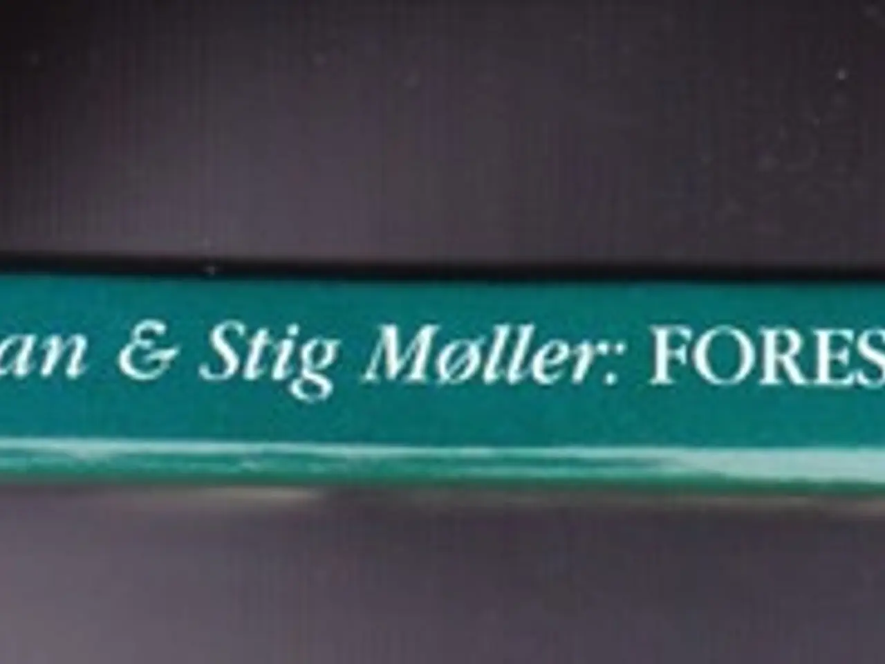 Billede 8 - Peter Bastian (2) & Stig Møller – Forest Walk – CD