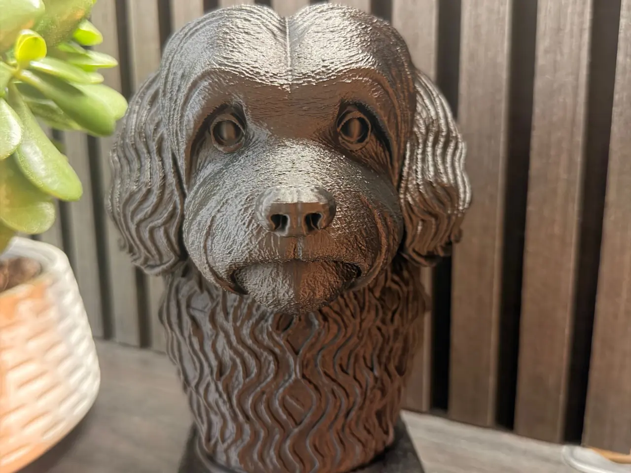 Billede 2 - Havanese Hund Buste