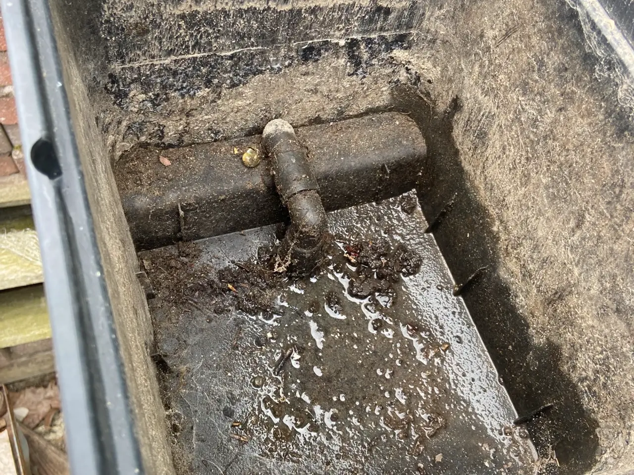 Billede 2 - Plastpotter med dræn