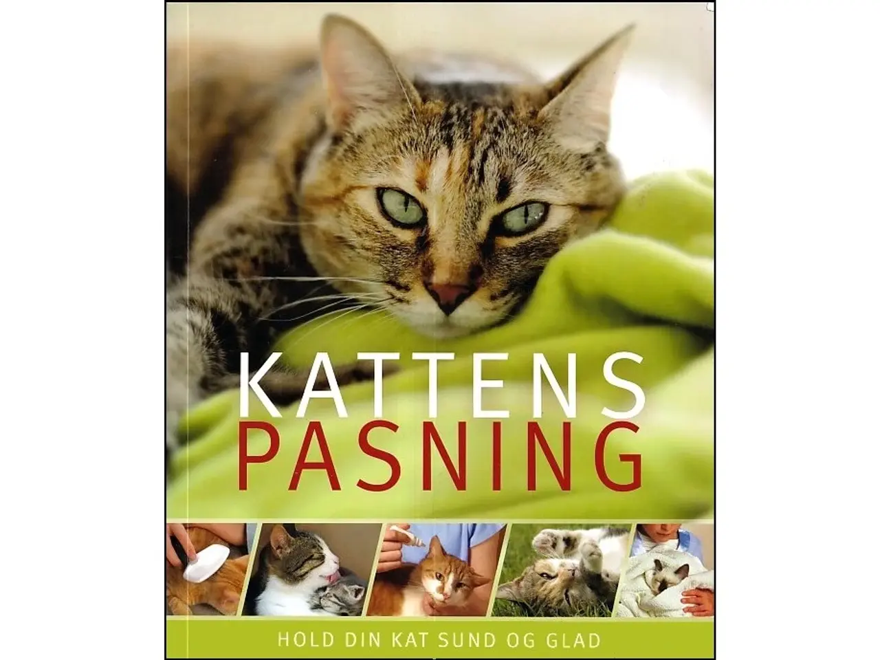 Billede 1 - Kattens pasning - hold din kat sund og glad