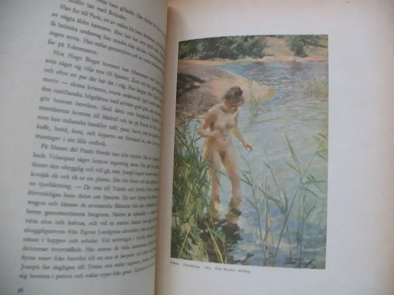 Billede 2 - Anders Zorn