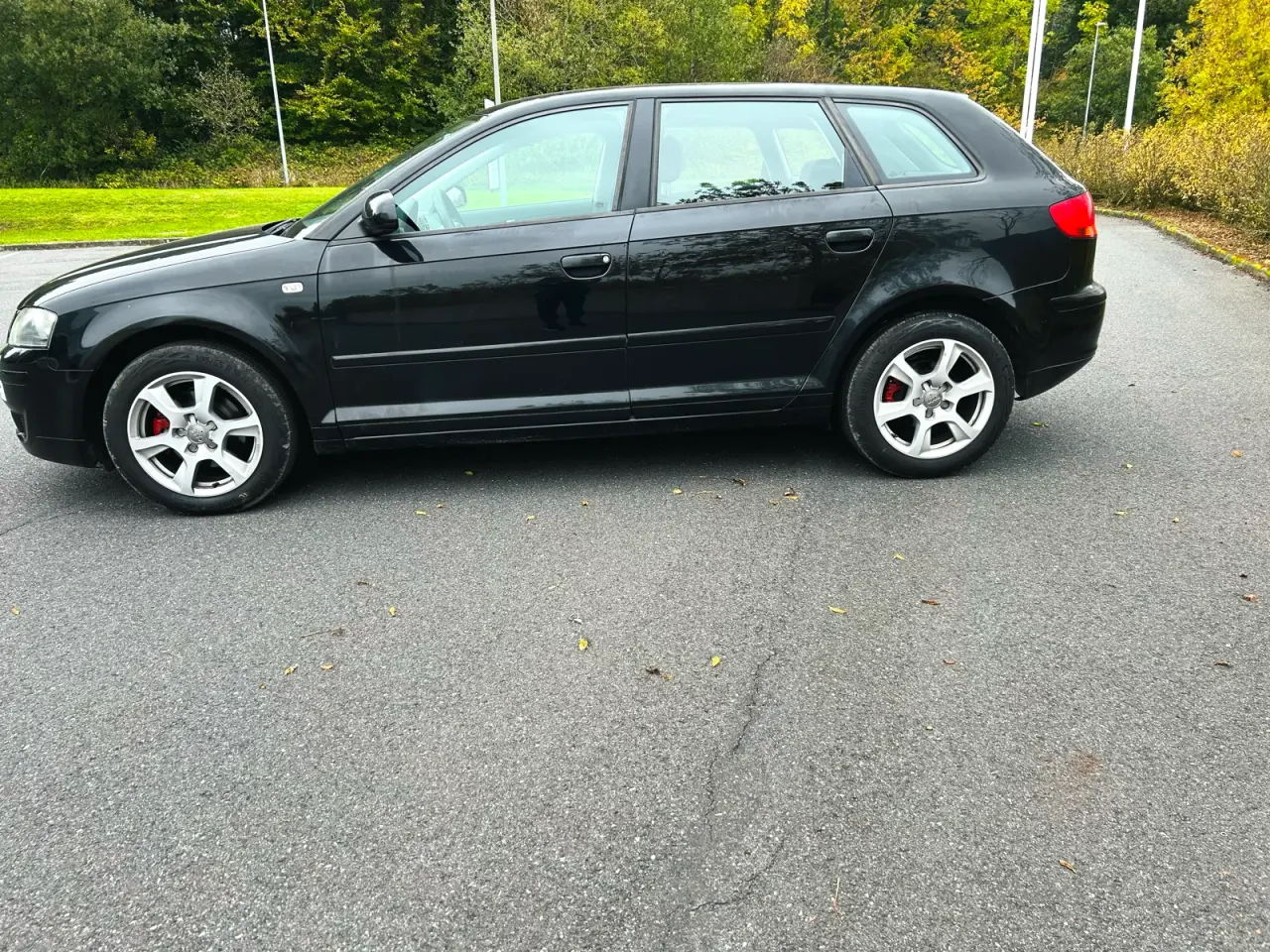 Billede 3 - Audi A3 1,6 Benzin Nysynet