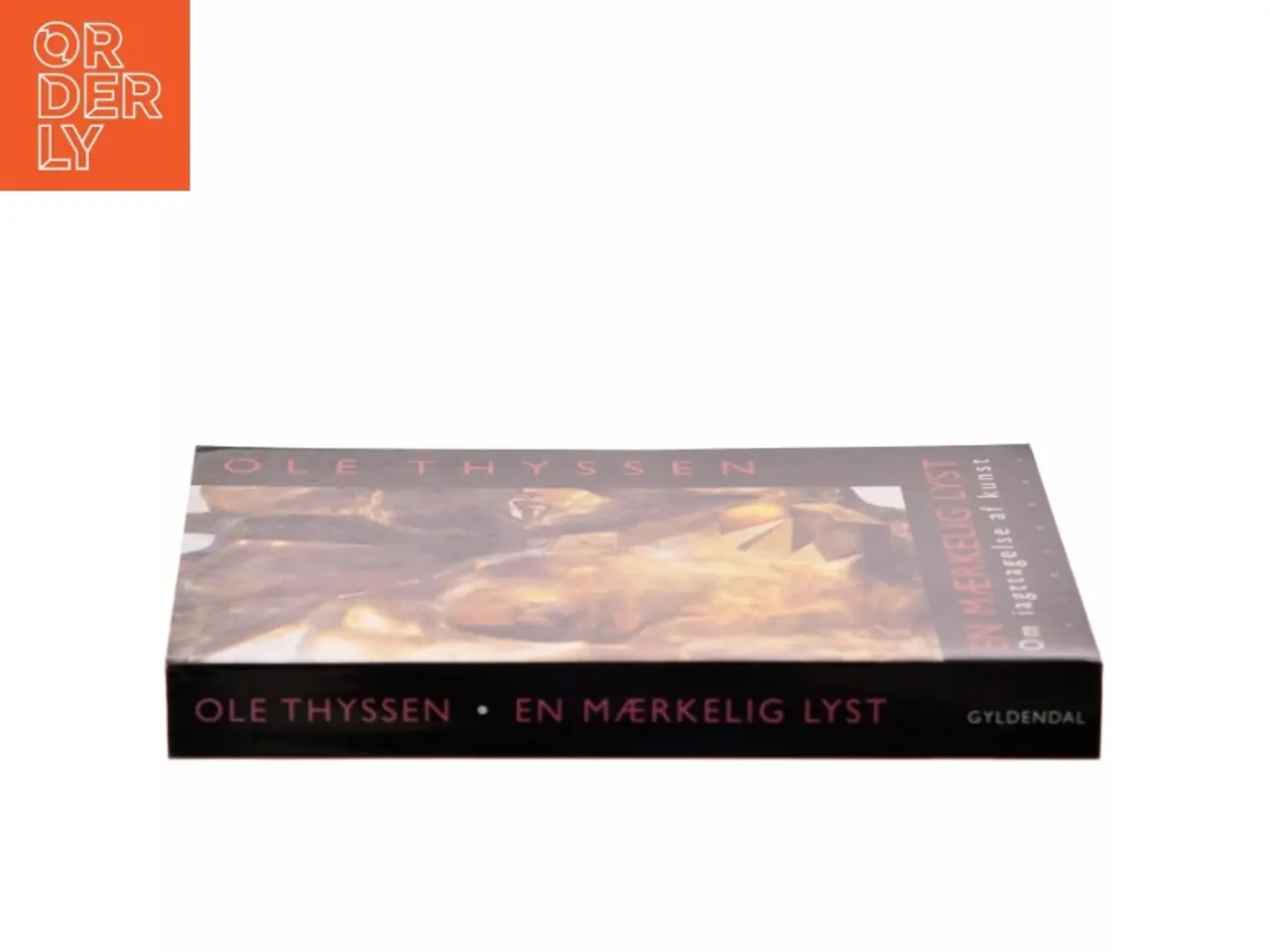 Billede 2 - En mærkelig lyst : om iagttagelse af kunst af Ole Thyssen (Bog)